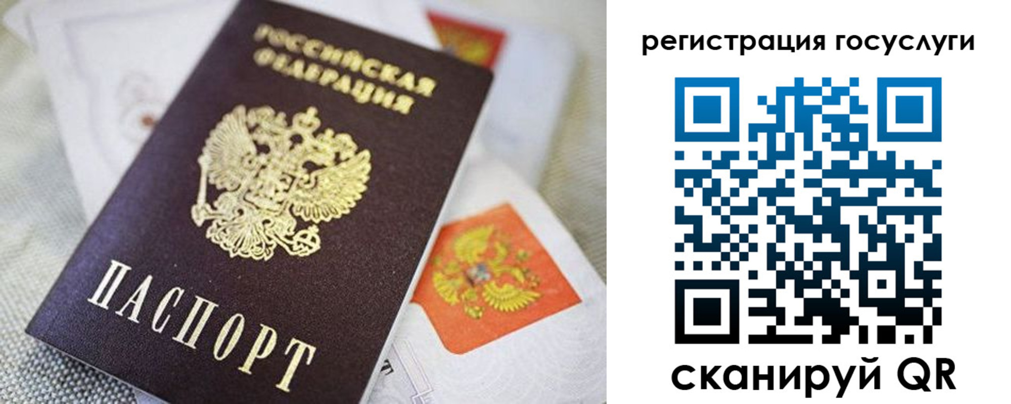 прописка паспорт в Тимашёвске